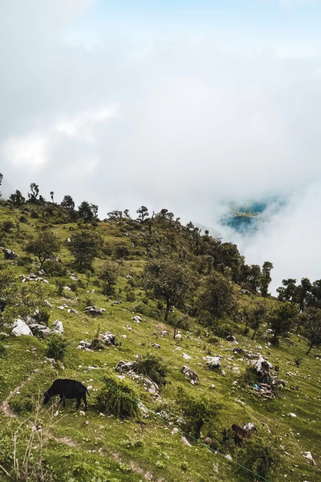 Photo of Mussoorie By Nikhlesh tyagi