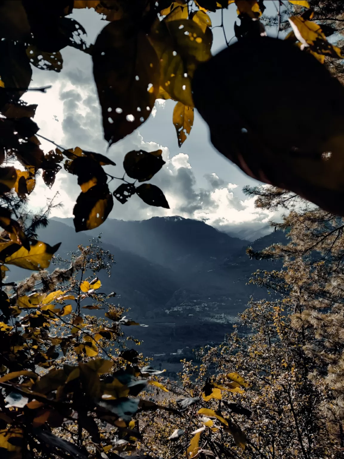 Photo of Manali By Nikhlesh tyagi