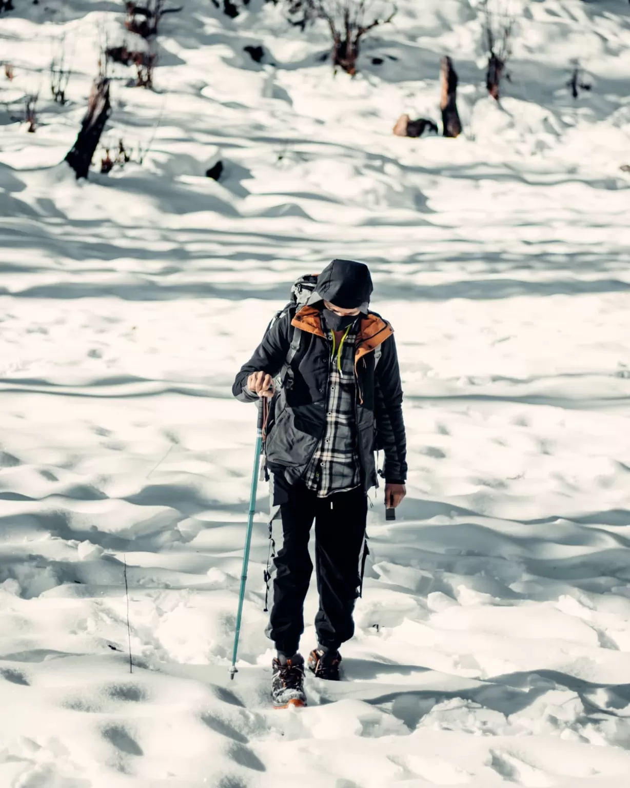 Photo of Kedarkantha Trek By Nikhlesh tyagi