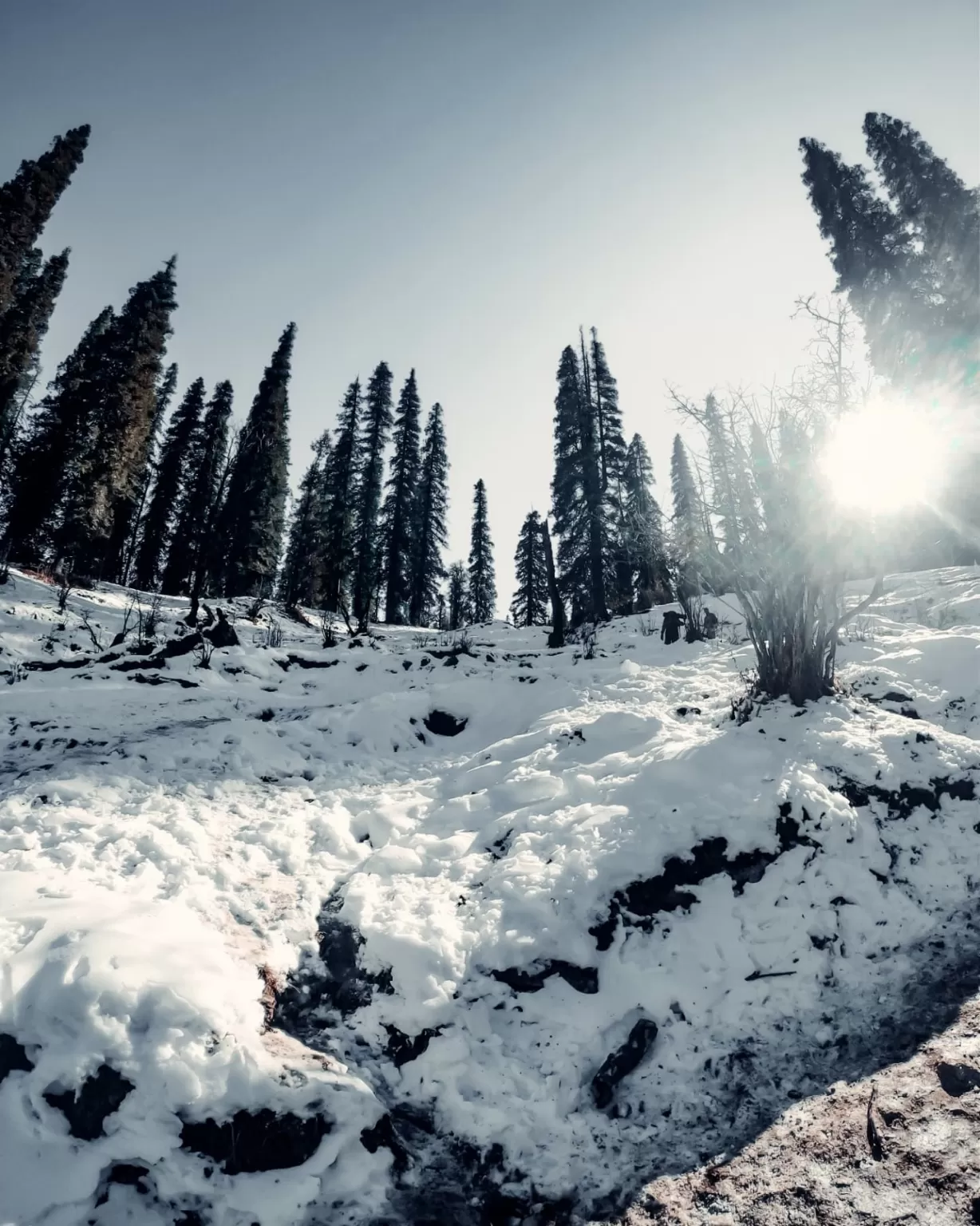 Photo of Kedarkantha Trek By Nikhlesh tyagi