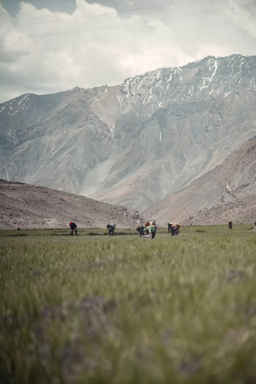 Photo of Spiti Valley By Nikhlesh tyagi