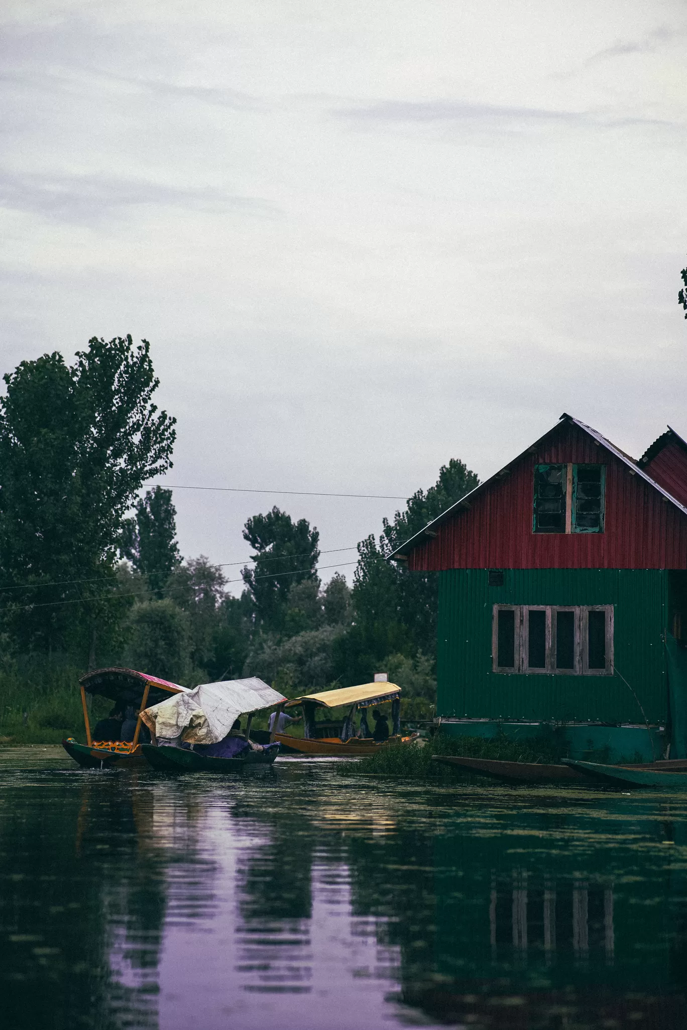 Photo of Dal Lake By Nikhlesh tyagi