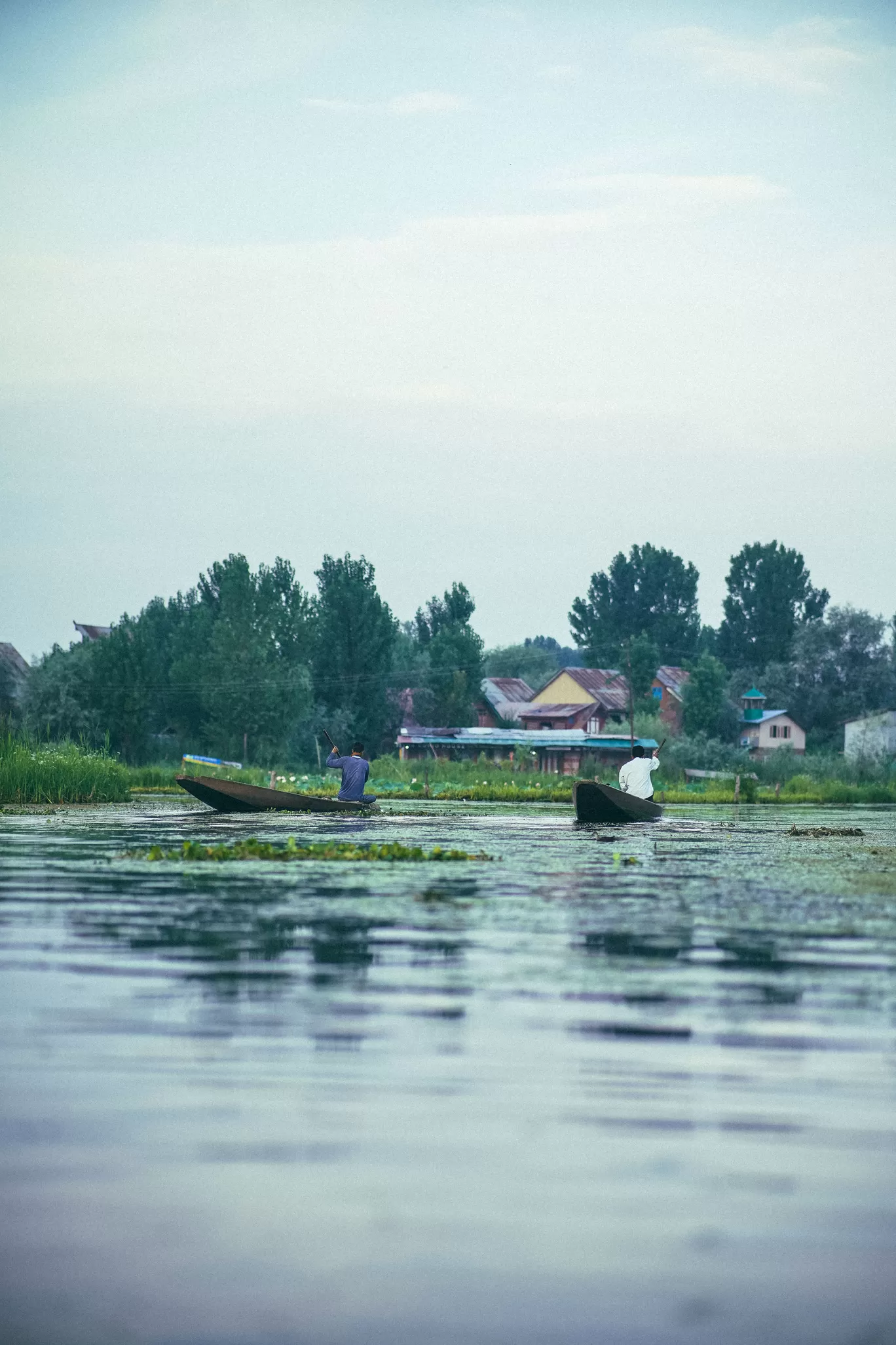 Photo of Dal Lake By Nikhlesh tyagi