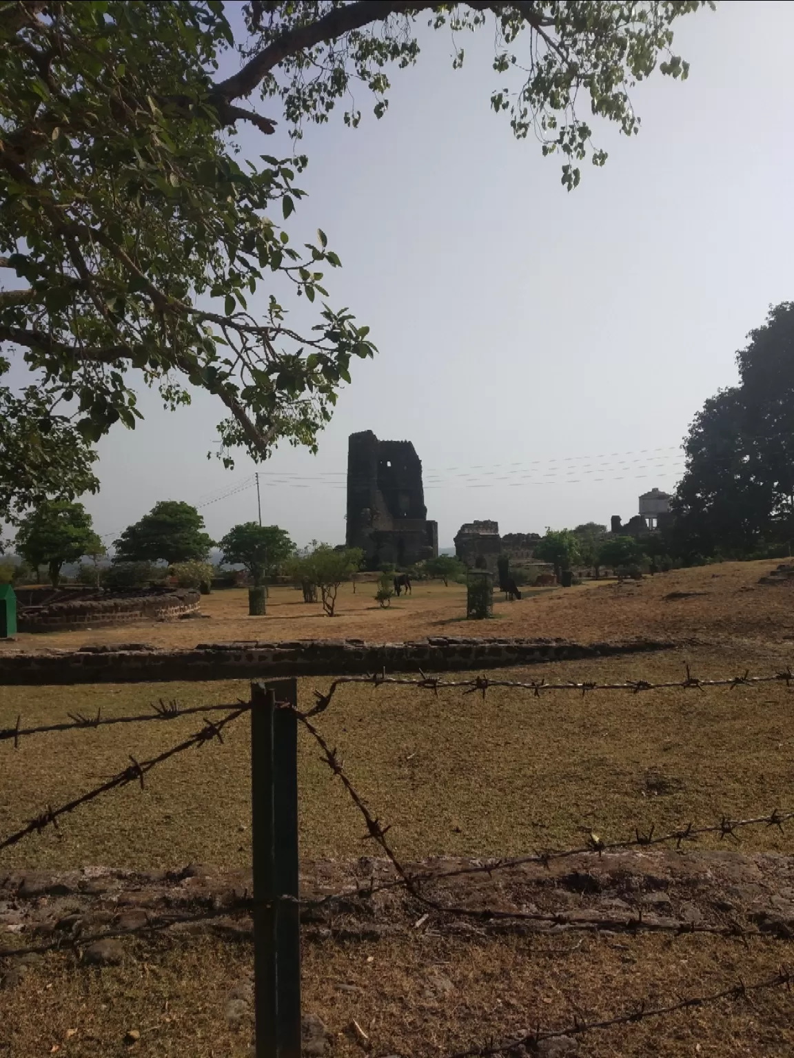 Photo of Nurpur By Shiromani Pandey