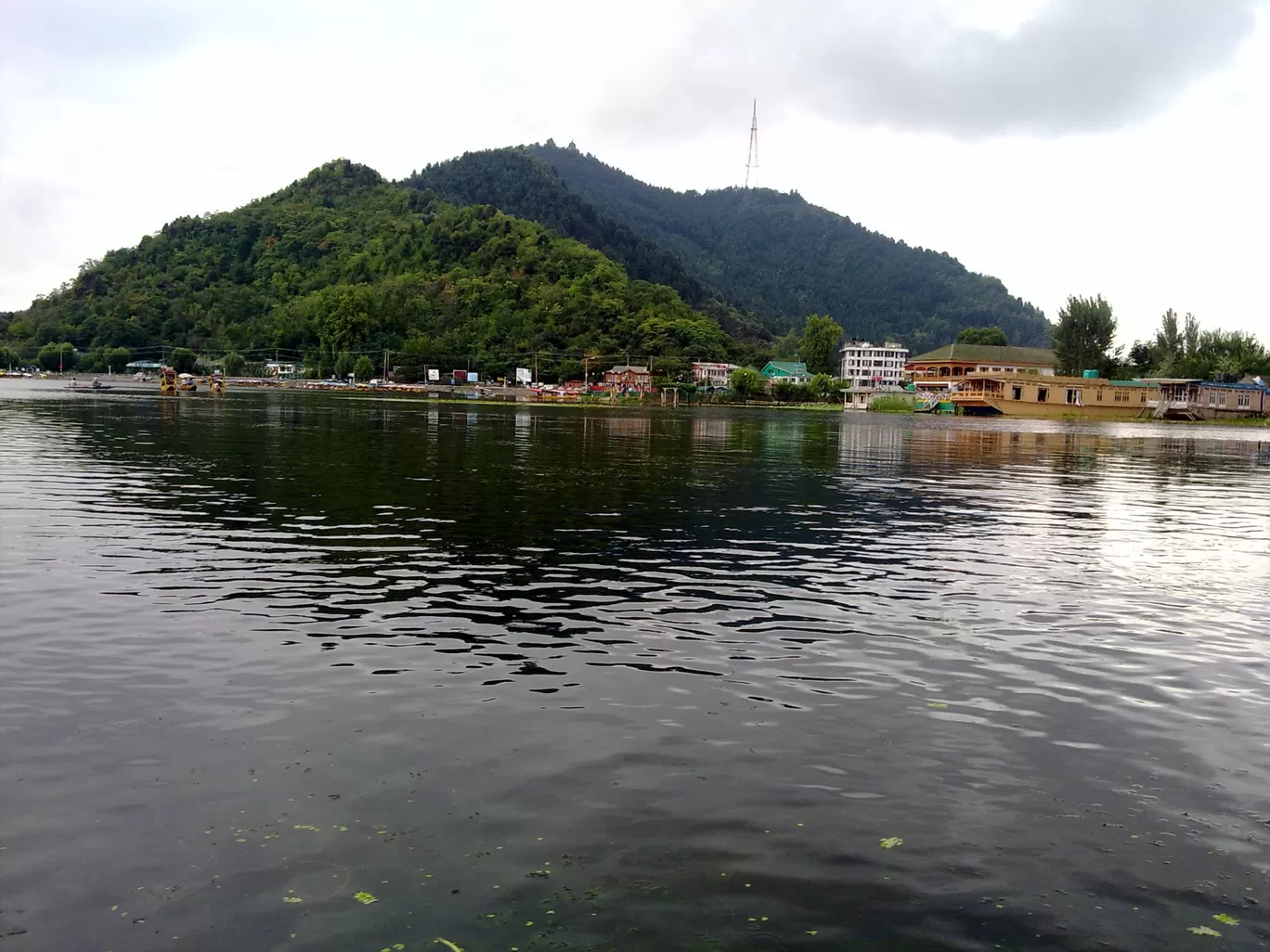 Photo of Dal Lake By Shiromani Pandey