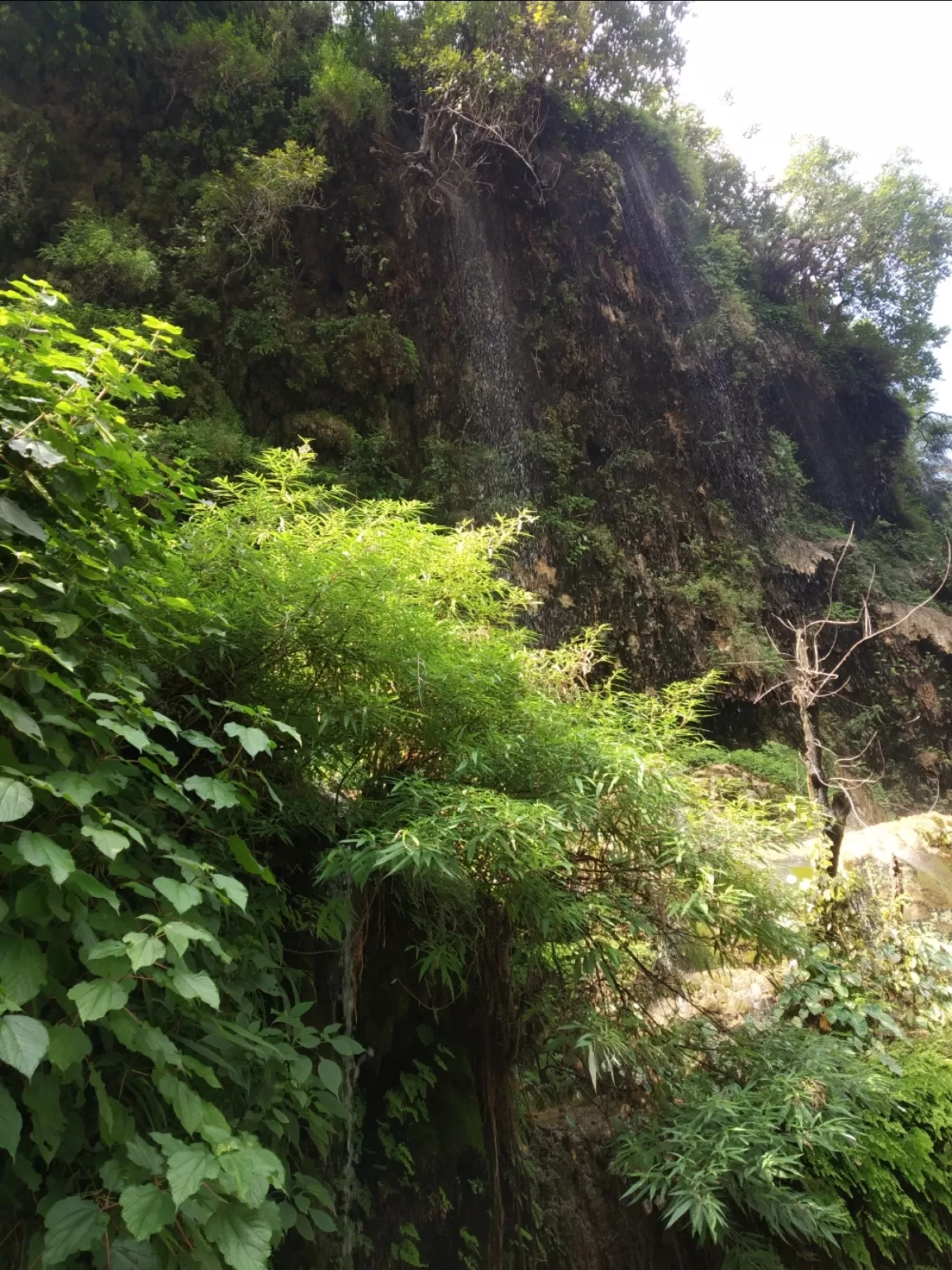Photo of Sahastradhara By Shiromani Pandey