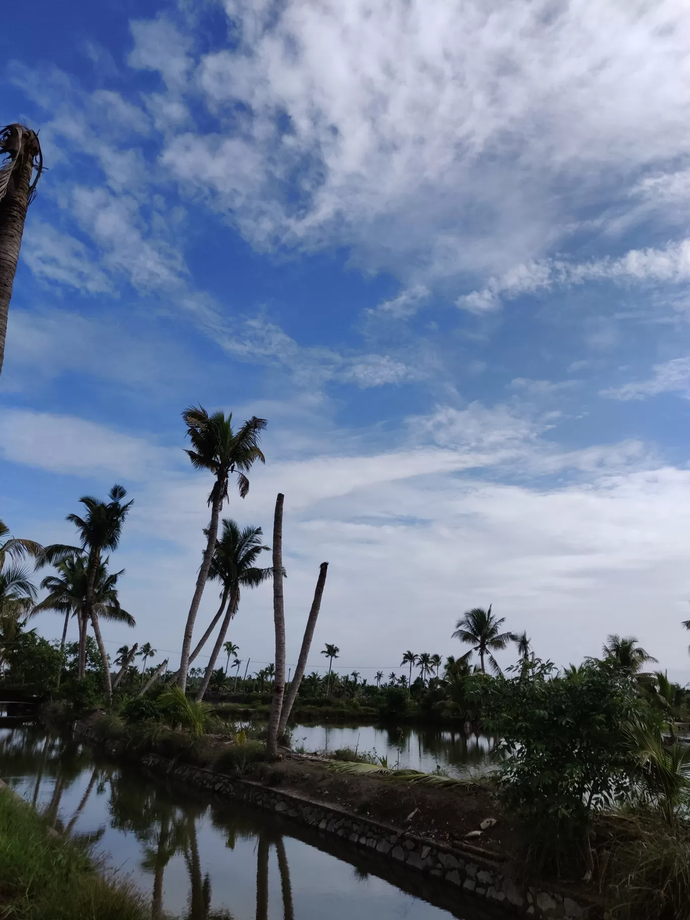 Photo of Kadamakkudy By muhammed badusha 