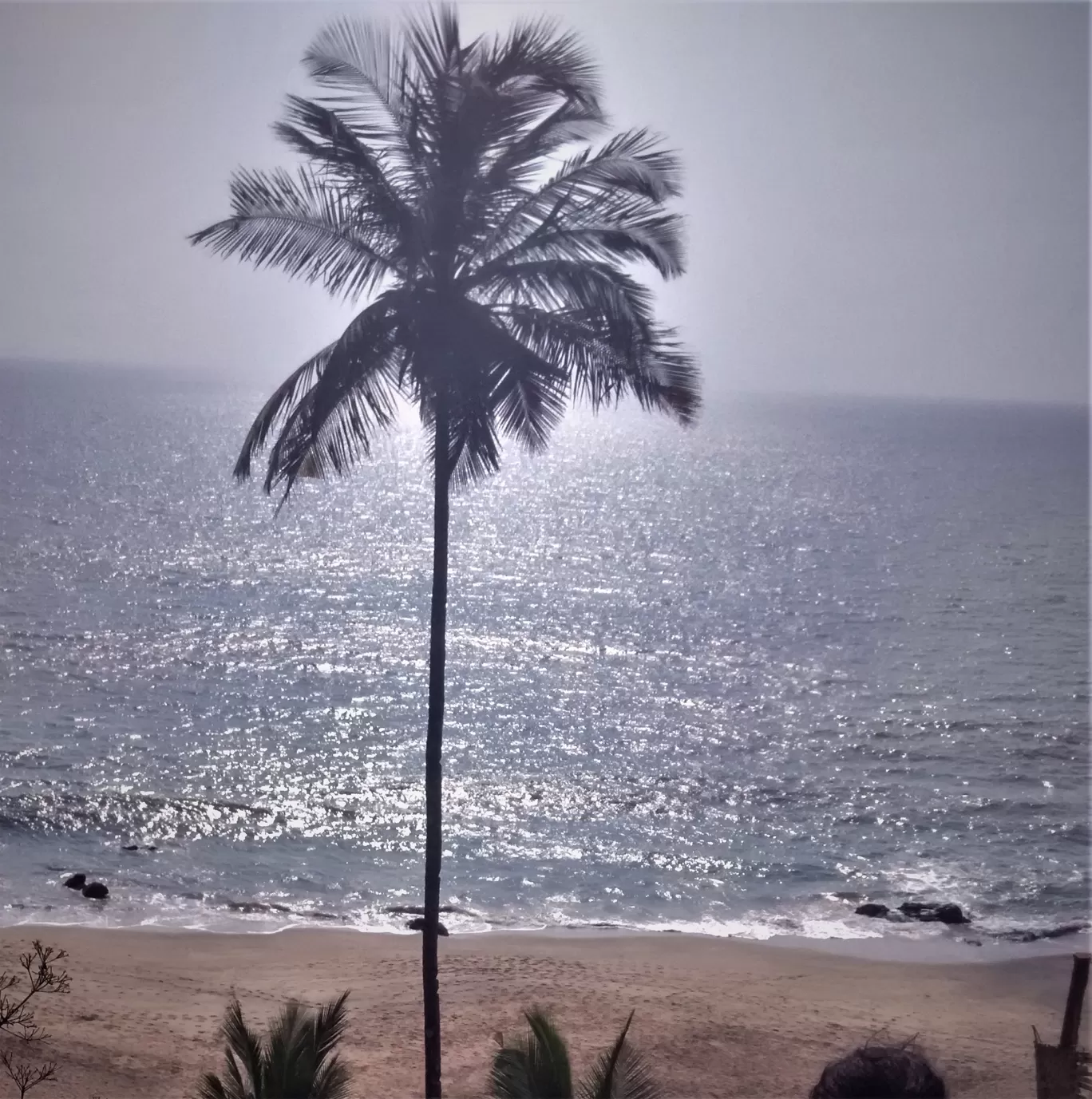 Photo of Cola Beach By Edge of the sand 