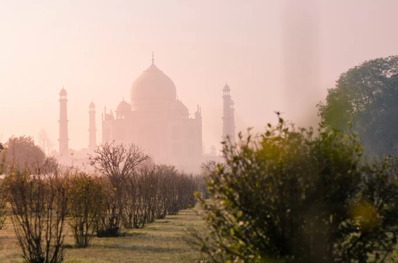 Photo of Mehtab Bagh By Mohd Aram