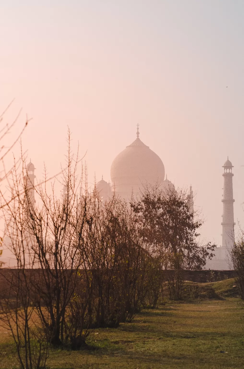 Photo of Mehtab Bagh By Mohd Aram