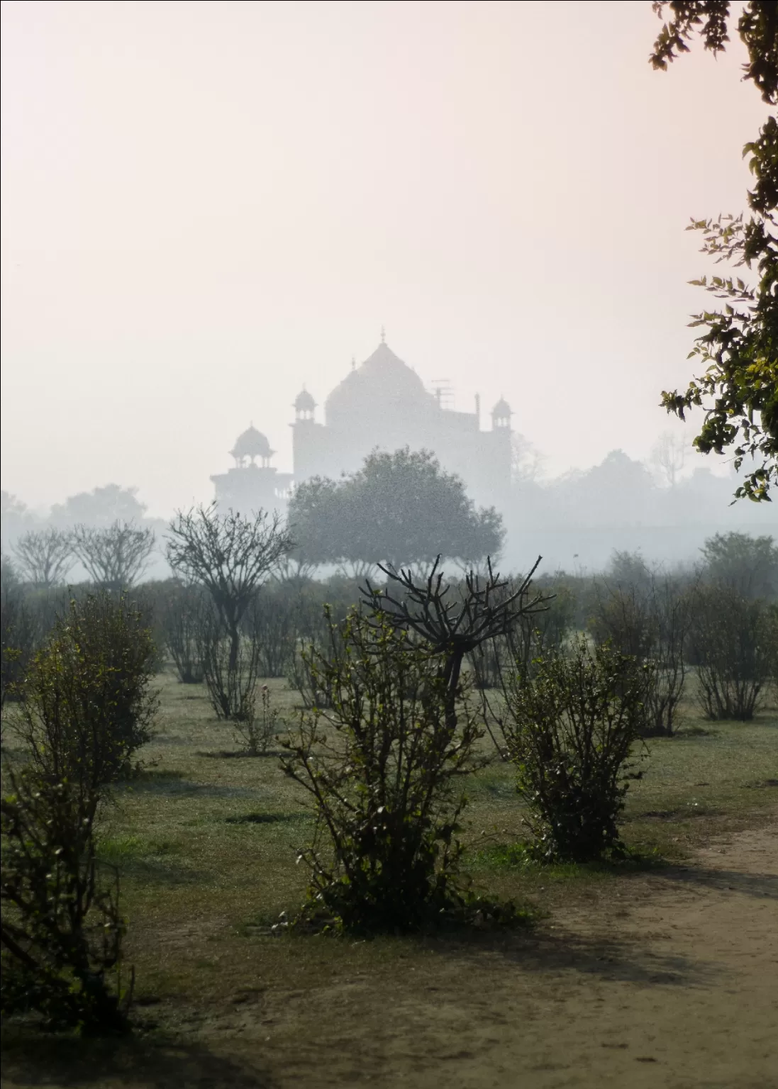 Photo of Mehtab Bagh By Mohd Aram