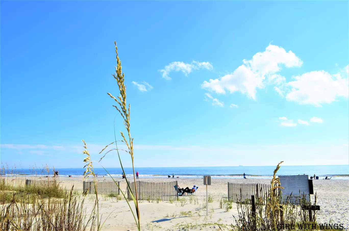 Photo of Hilton Head Island By Prashanthi Pavadi.