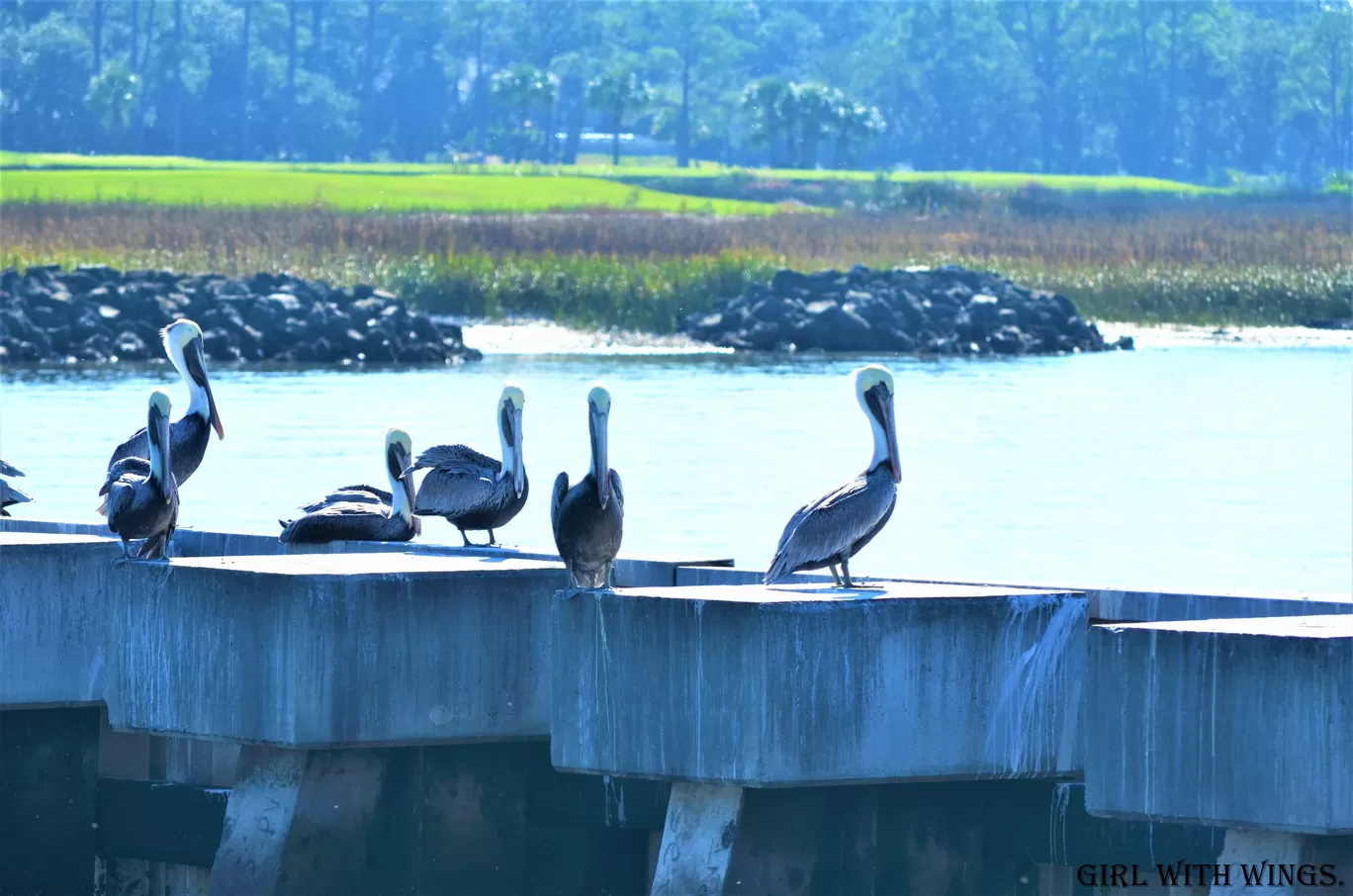 Photo of Hilton Head Island By Prashanthi Pavadi.