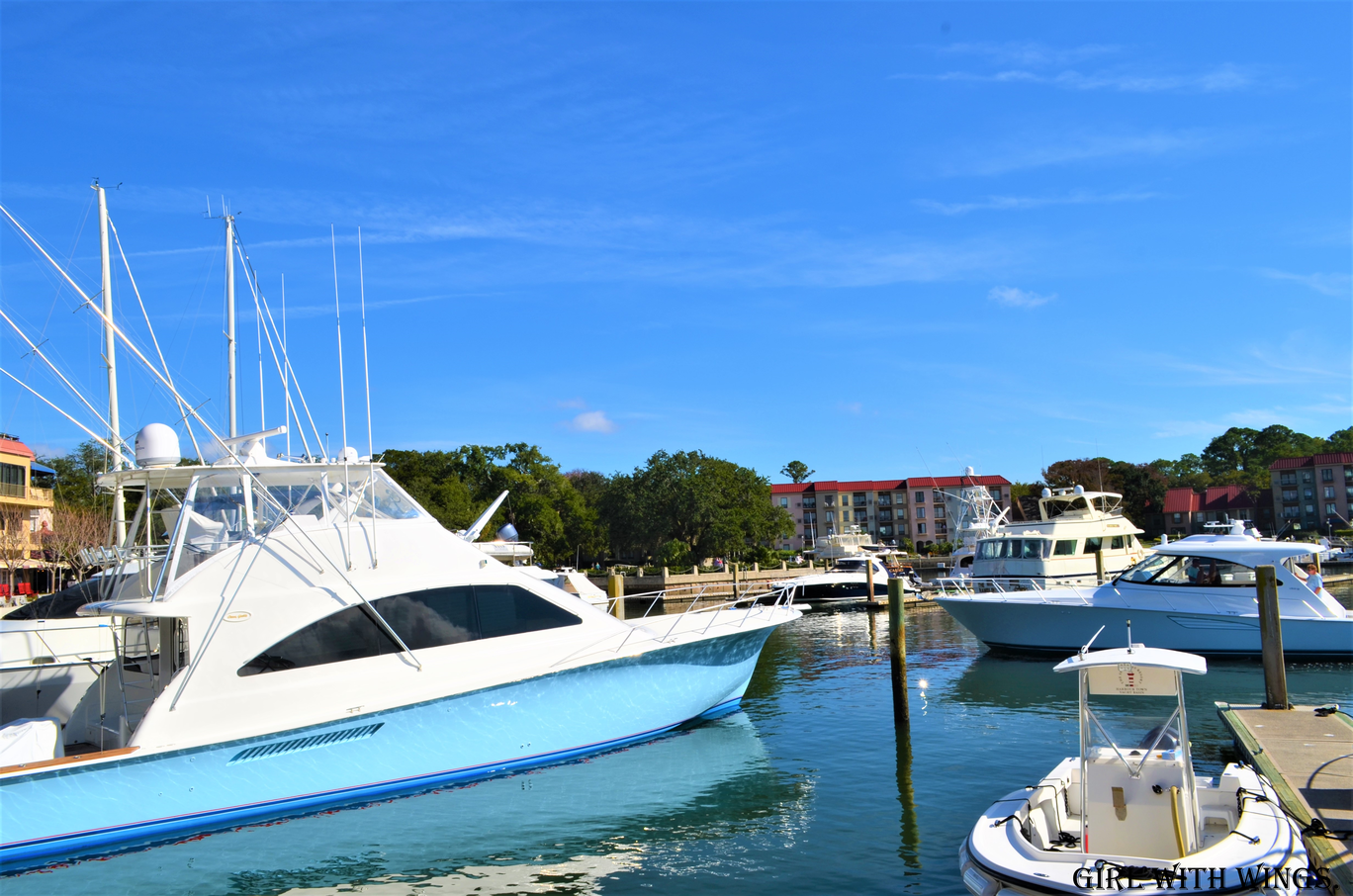 Photo of Hilton Head Island By Prashanthi Pavadi.