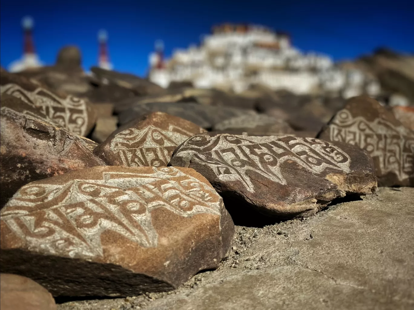 Photo of LEH LADAKH By Kiran Nath