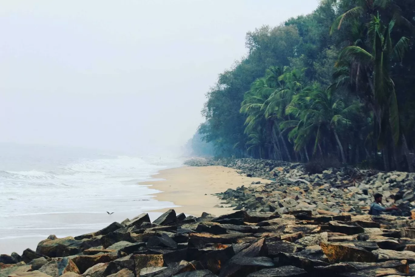 Photo of Snehatheeram Beach By Rathin Varadha Rajan