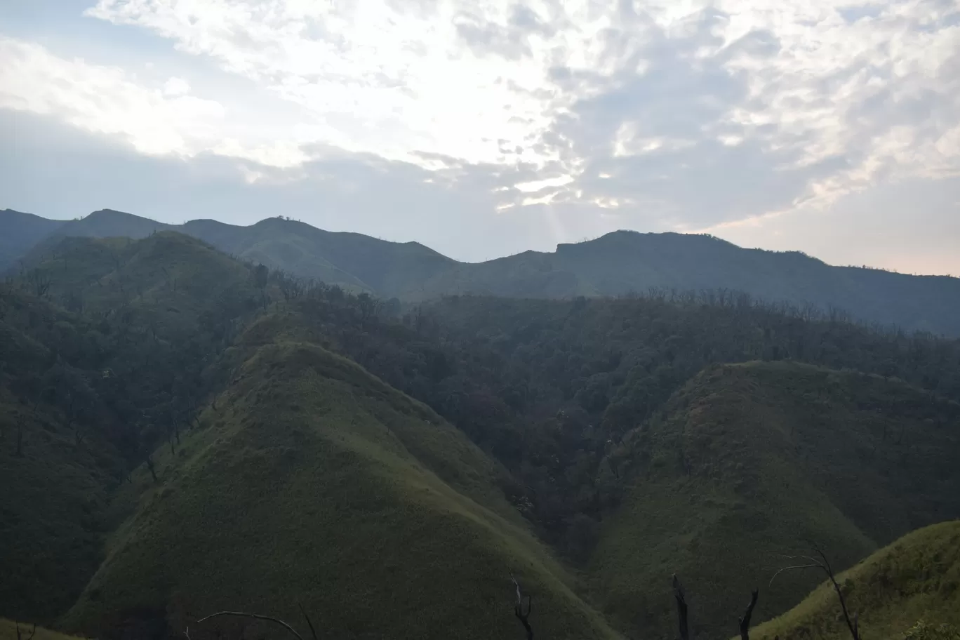 Photo of Dzükou Valley By Somya Parashar