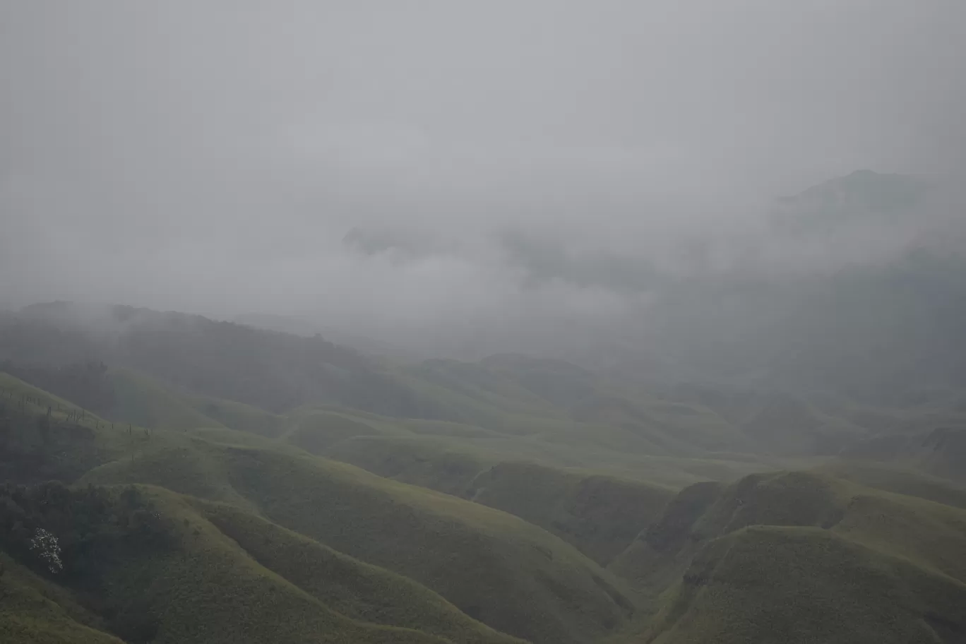 Photo of Dzükou Valley By Somya Parashar