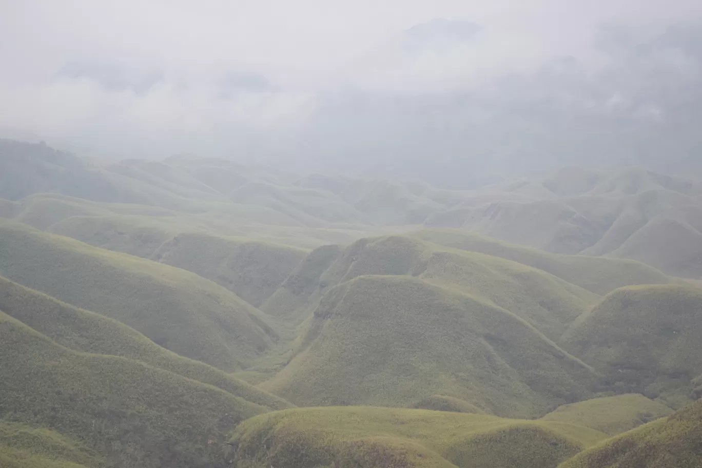 Photo of Dzükou Valley By Somya Parashar