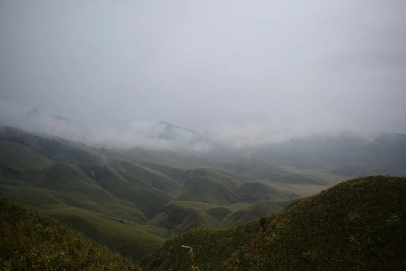 Photo of Dzükou Valley By Somya Parashar