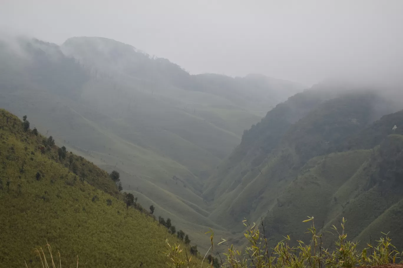 Photo of Dzükou Valley By Somya Parashar