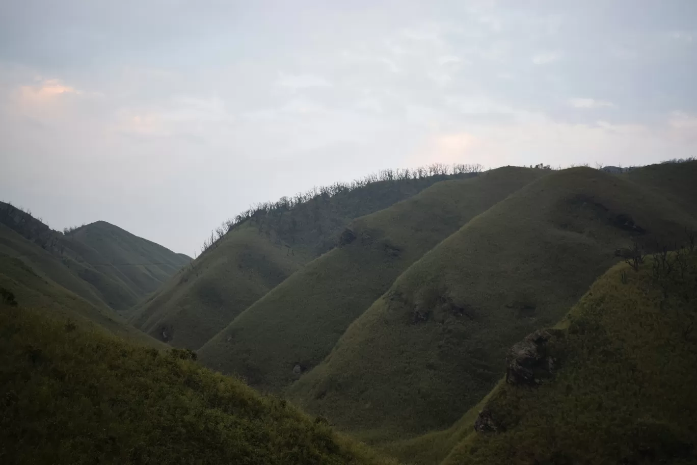Photo of Dzükou Valley By Somya Parashar