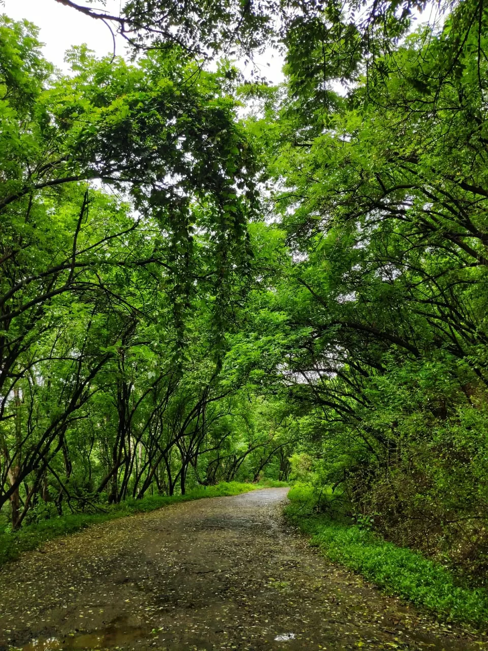 Photo of Panshet By Debpratim Sarkar