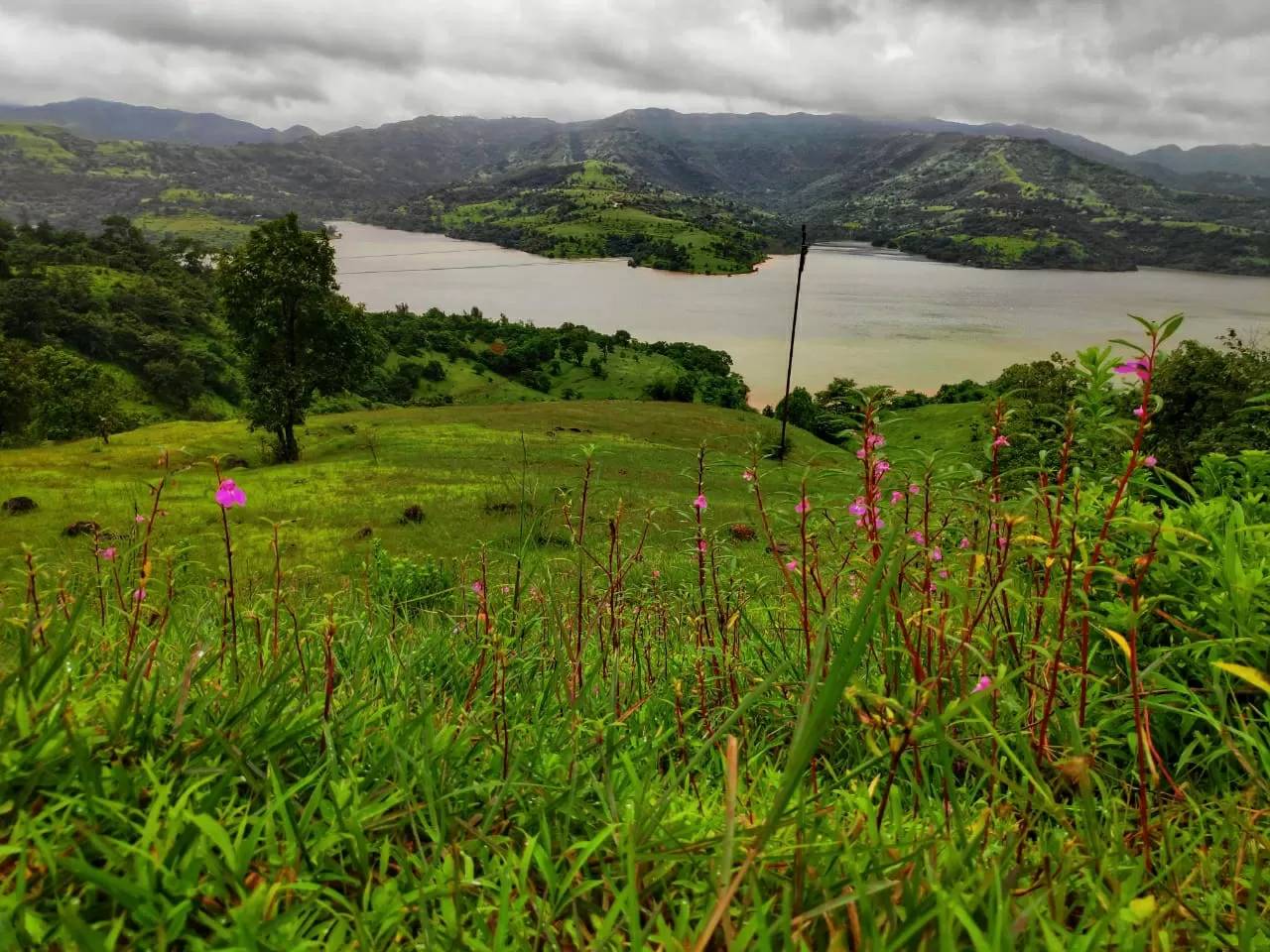 Photo of Panshet By Debpratim Sarkar