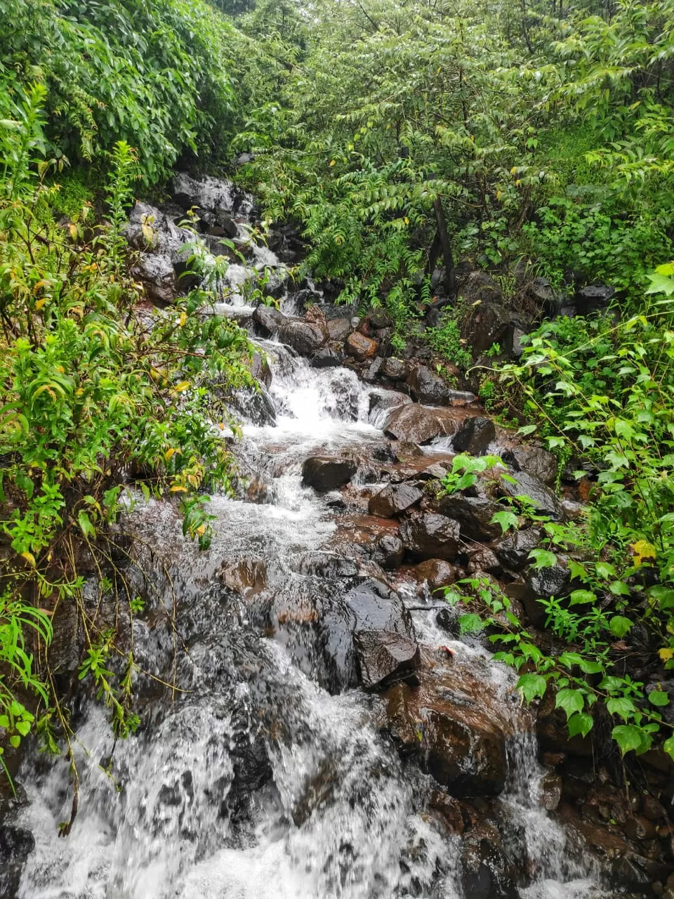 Photo of Panshet By Debpratim Sarkar
