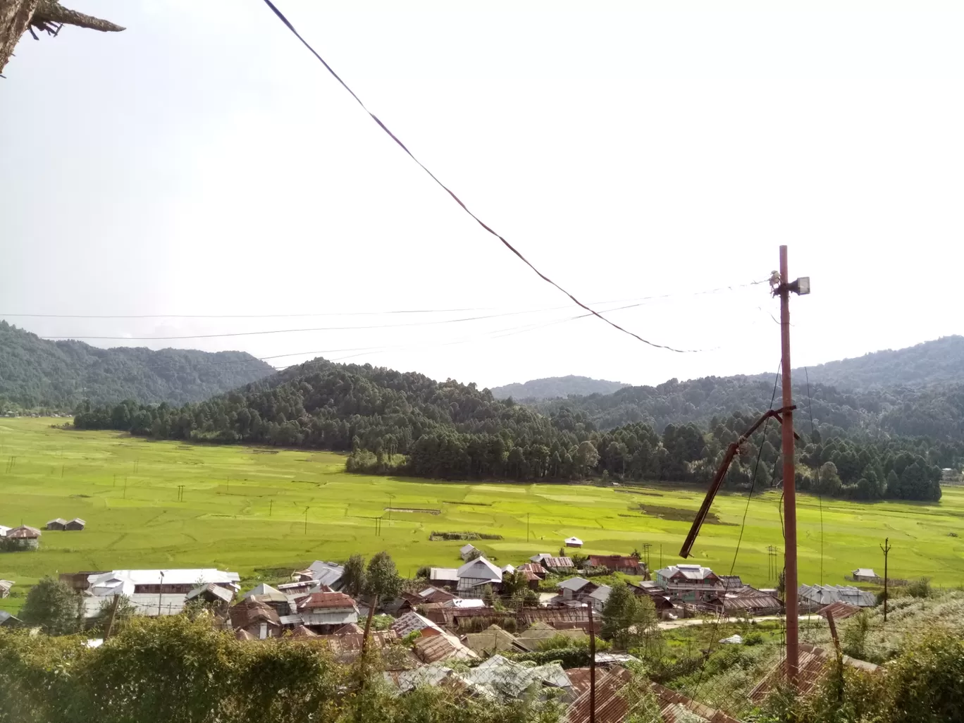 Photo of Ziro By Er Eieir