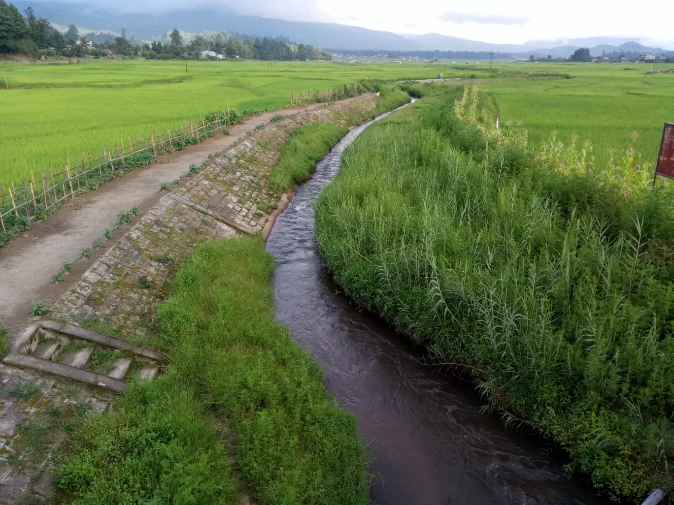 Photo of Ziro By Er Eieir