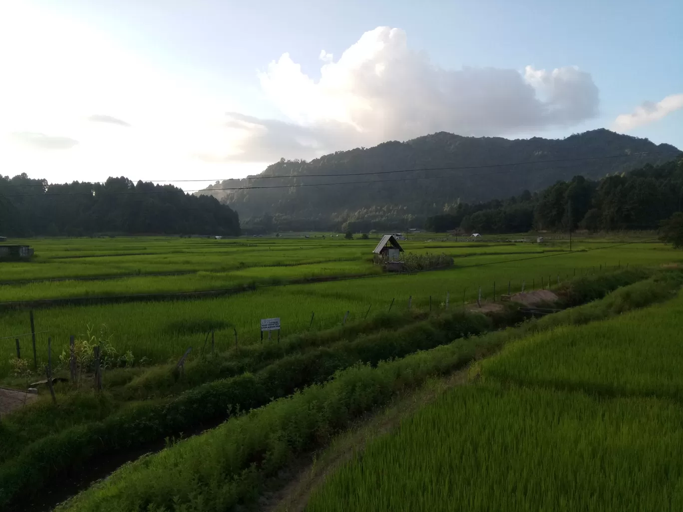 Photo of Ziro By Er Eieir