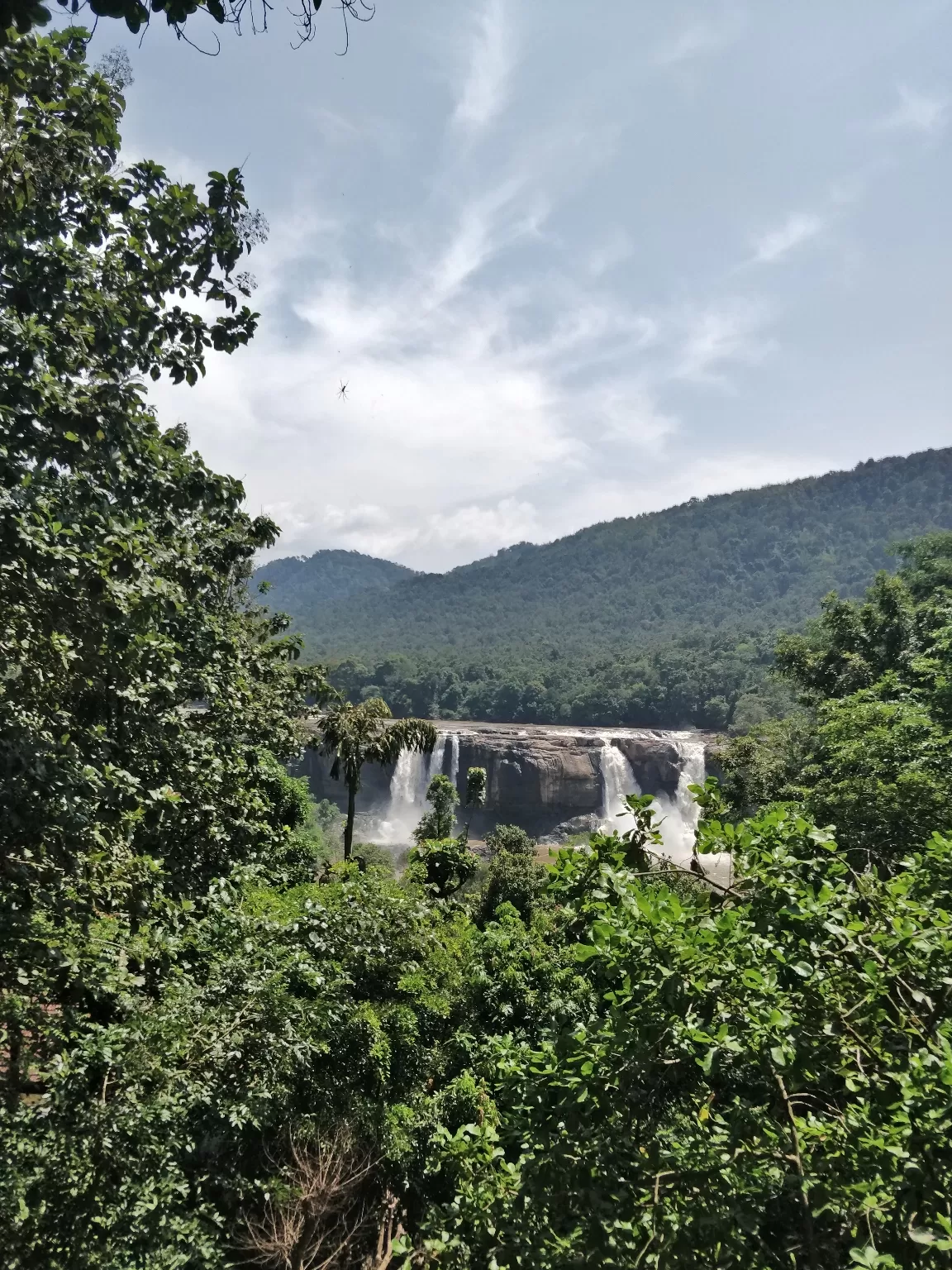 Photo of Athirappilly Water Falls By sree