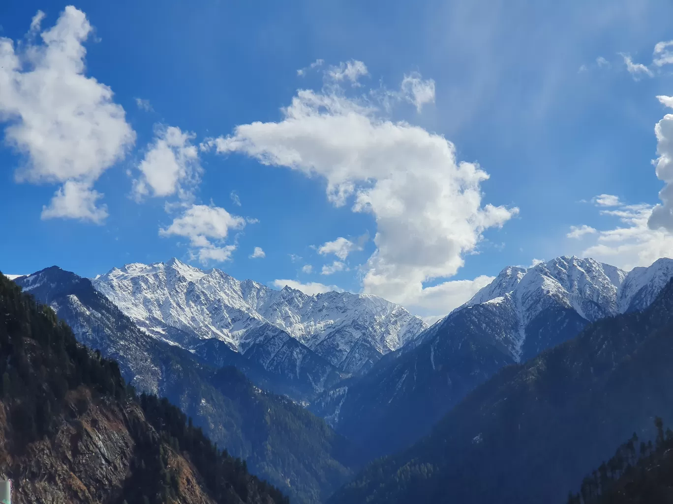 Photo of Rasol By Raj Purkayastha