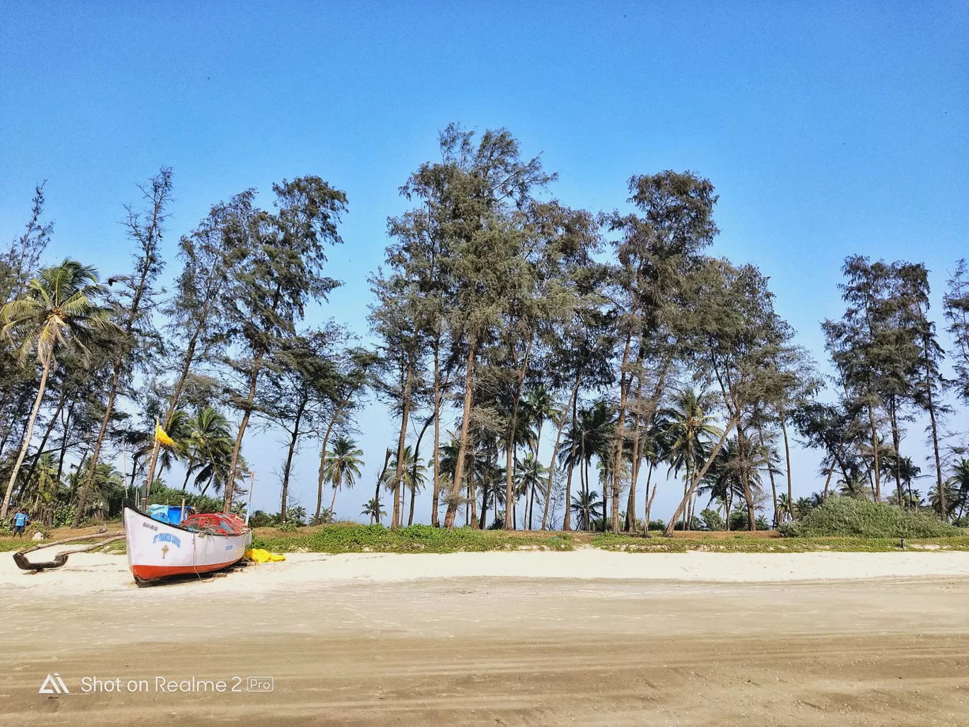 Photo of Gonsua By Rahul Sheth