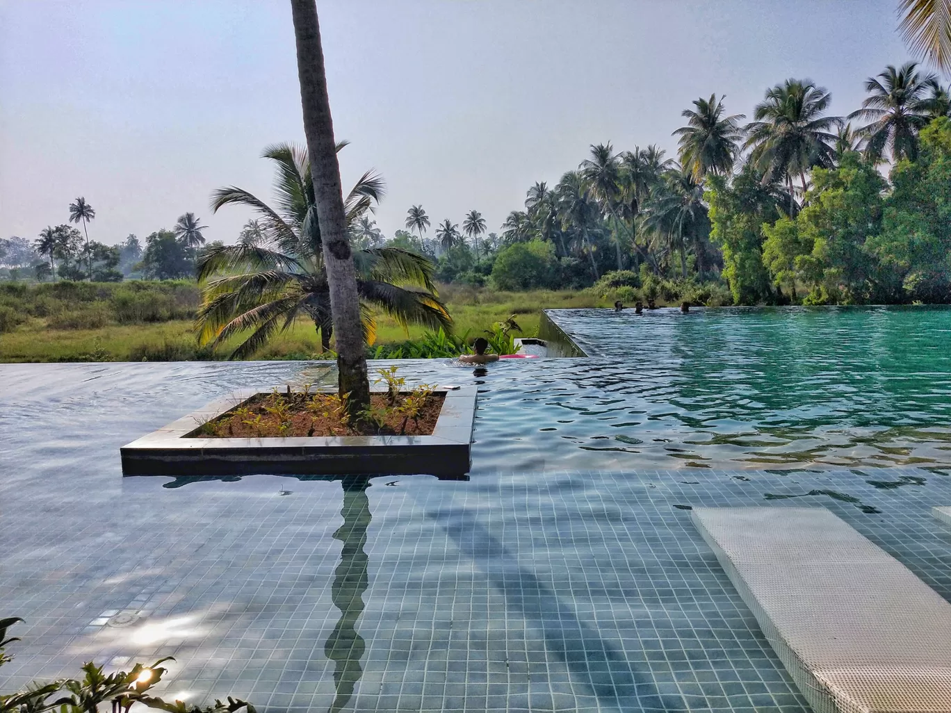 Photo of Gonsua By Rahul Sheth