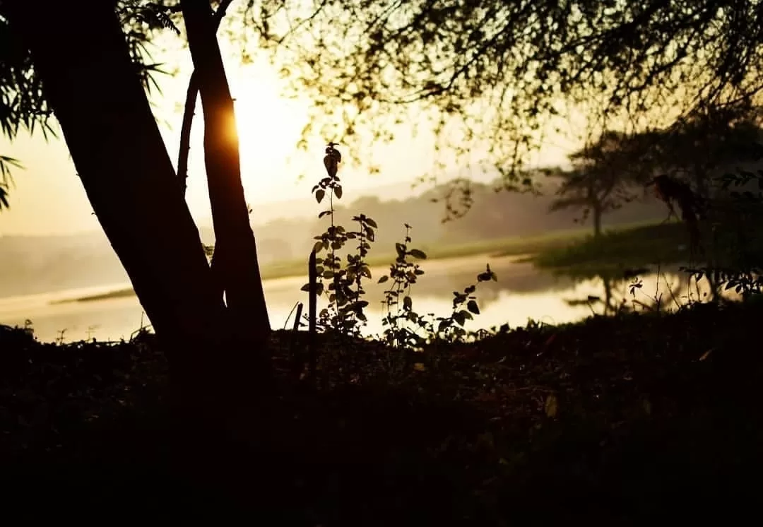 Photo of Pashan Lake By Kunal Krishna