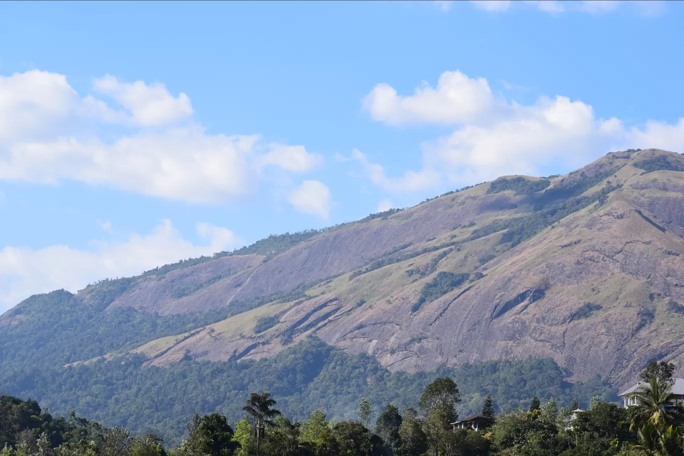 Photo of Munnar By Dheeraj Sharma