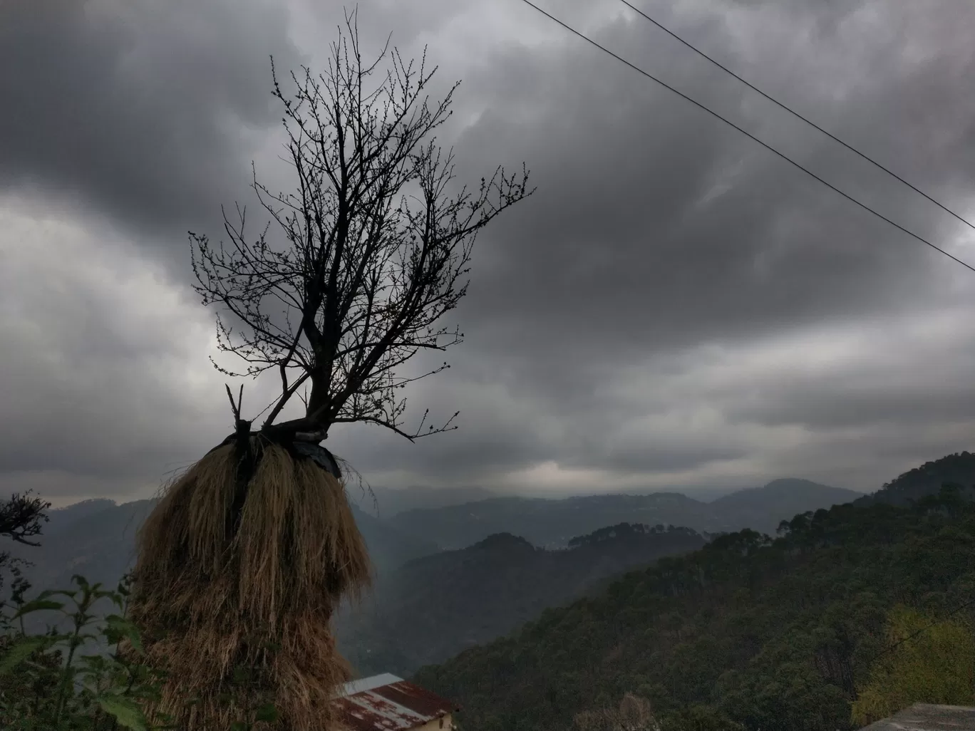 Photo of Sattal By vishnu dwivedi