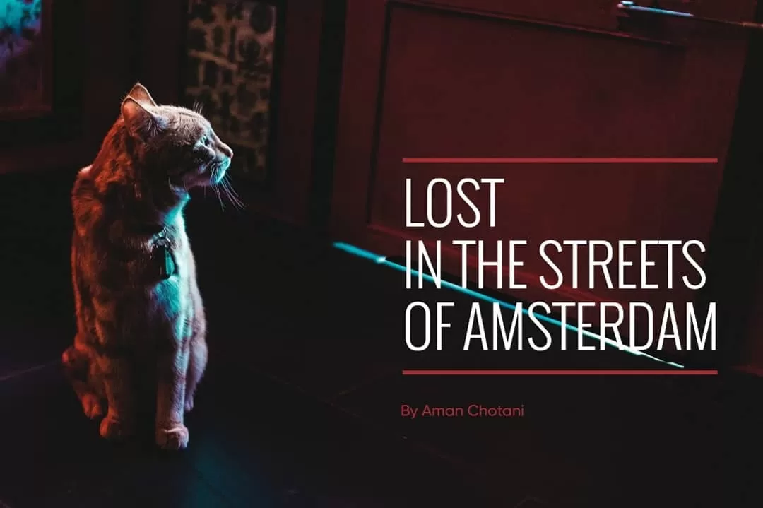 Photo of Amsterdam By Aman Chotani
