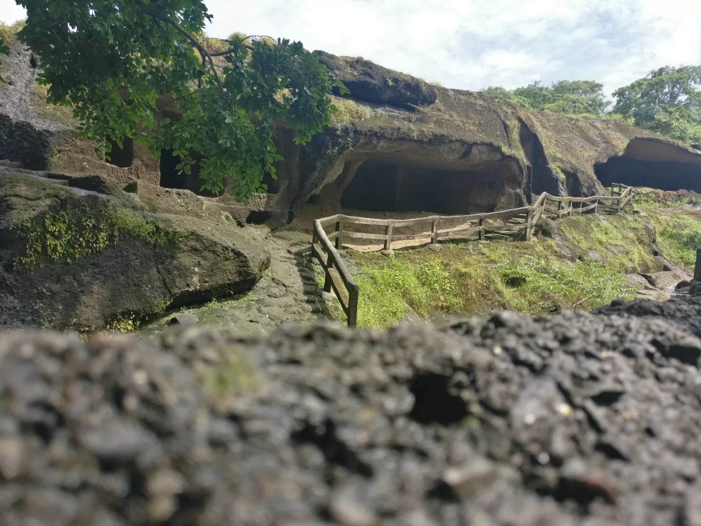 Photo of Sanjay Gandhi National Park By Riddhit Pathak