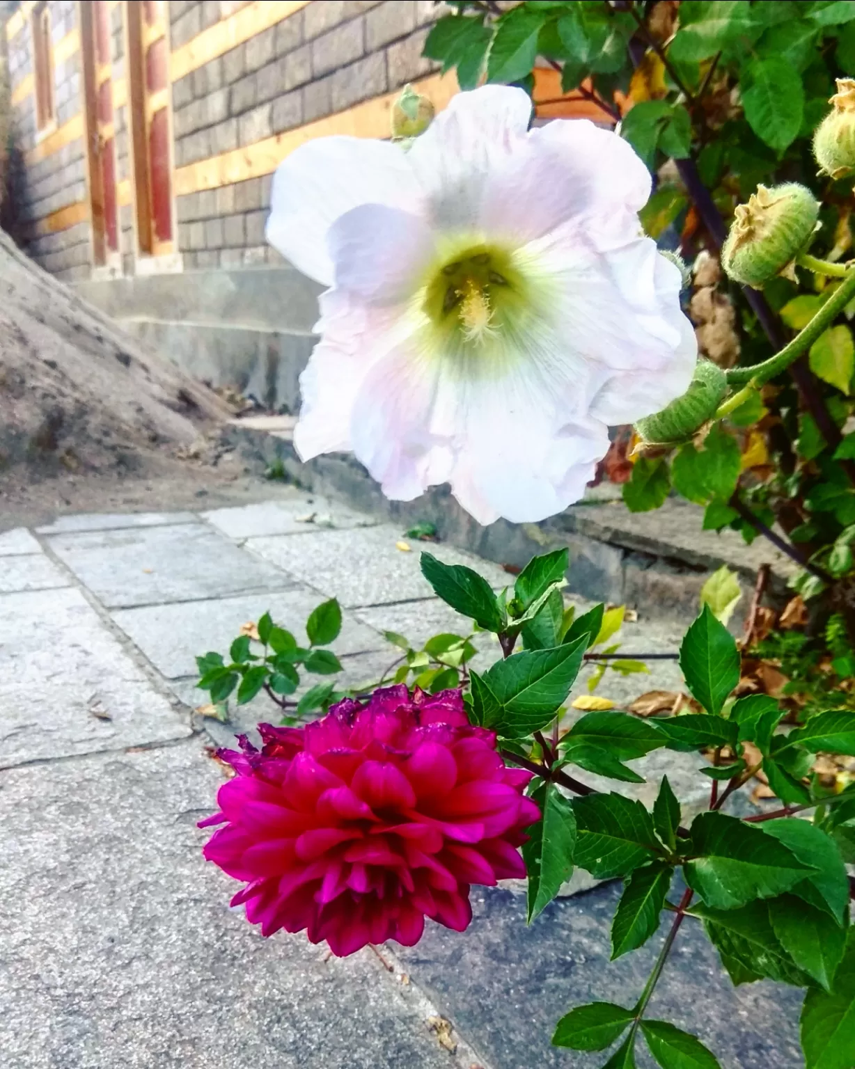 Photo of Kalpa By ishita mallik