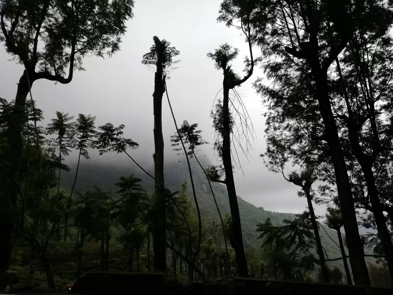 Photo of Murudeshwar By Deepak raj