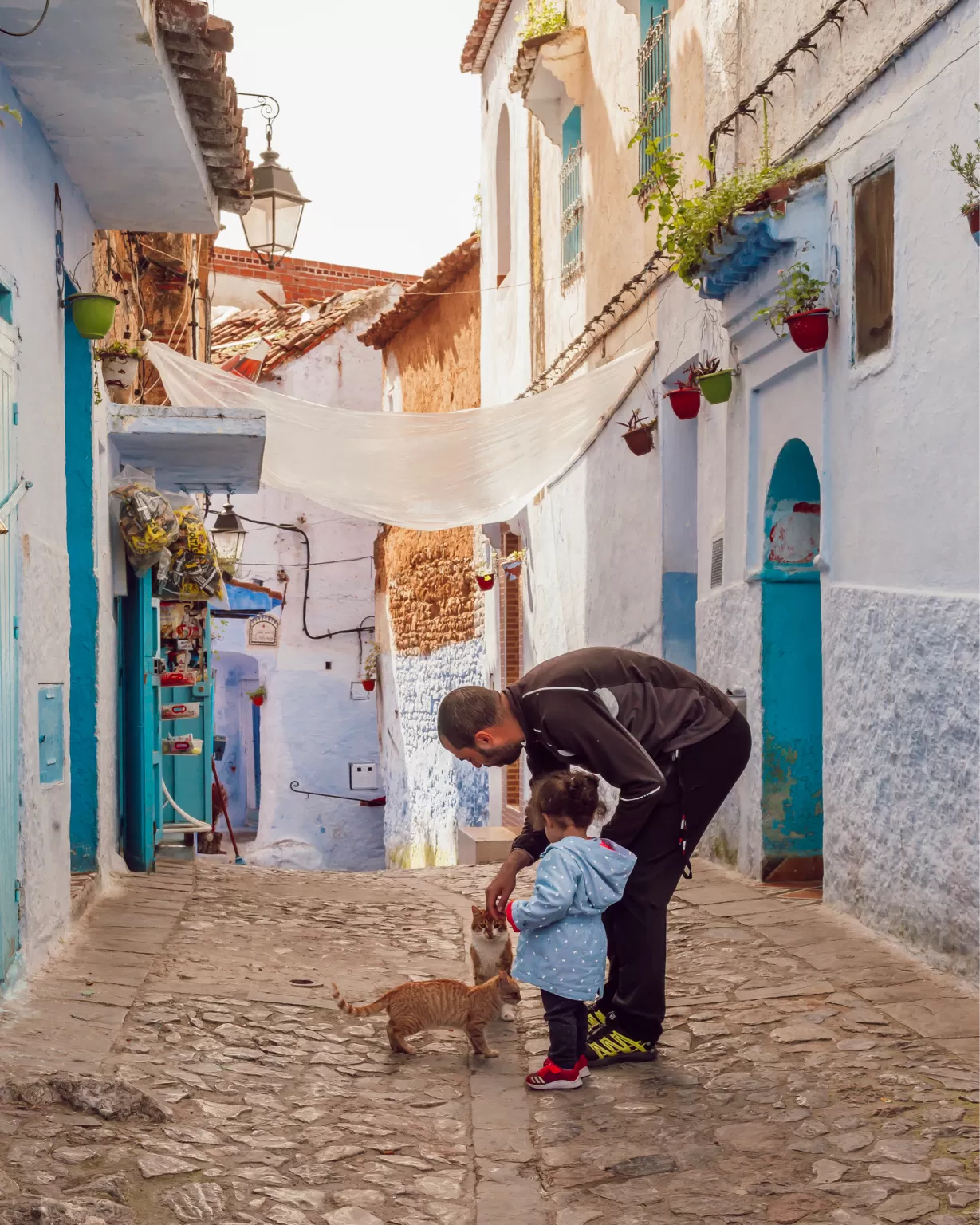 Photo of Chefchaouen Photoblog : Pictures that will inspire you to take that trip to Morocco By The Travelling Lipstick