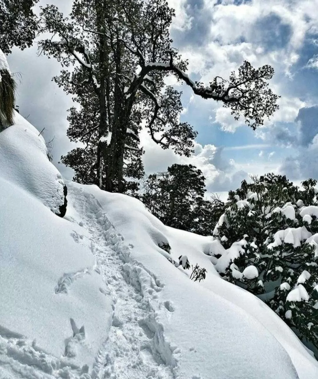 Photo of Dharamshala By Dr.Pranjal Upadhayay