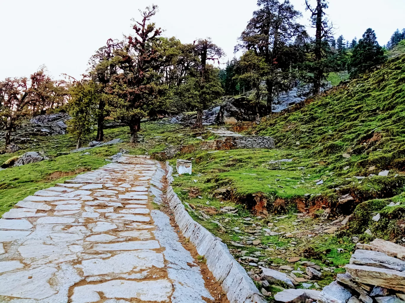 Photo of Chopta Tungnath Chandrashila Trekking By Abhishek Pokhariyal