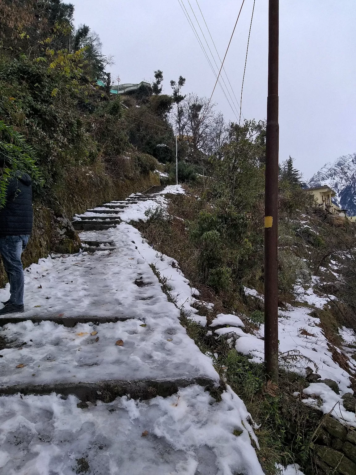 Photo of Auli Laga Joshimath By Sankalp Tripathi