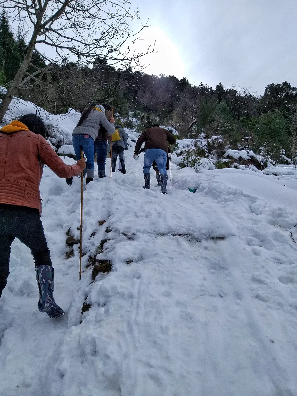 Photo of Auli Laga Joshimath By Sankalp Tripathi