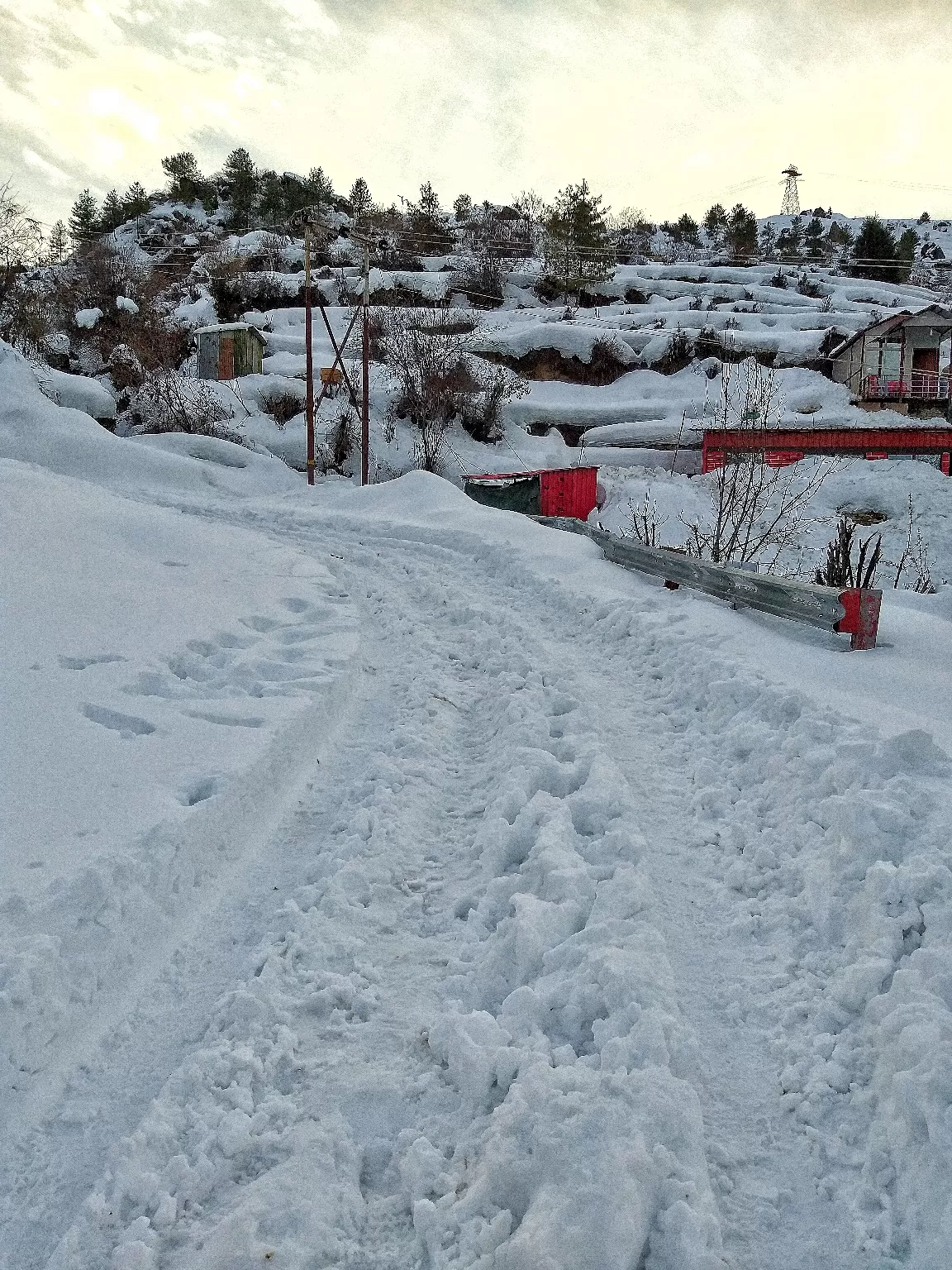 Photo of Auli Laga Joshimath By Sankalp Tripathi