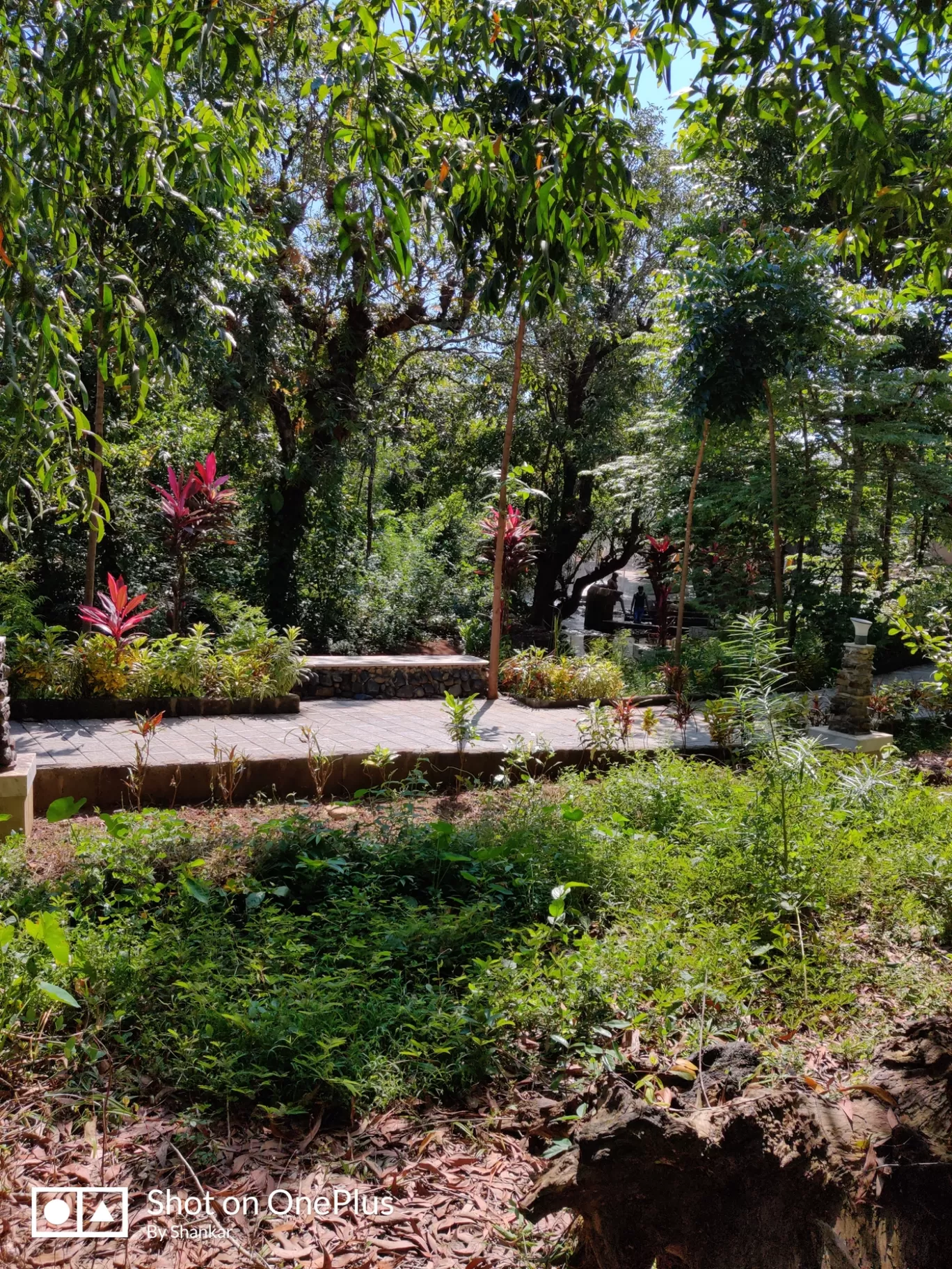 Photo of NIRMIT PARK By Shankar Pandala